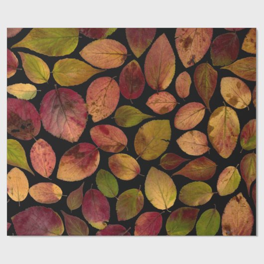 De herfst laat Herfst Tijd Cadeaupapier (Vlak)