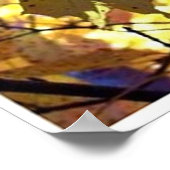 De herfst laat Herfst Trees Sunshine Poster (Hoek)