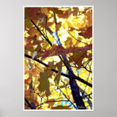 De herfst laat Herfst Trees Sunshine Poster (Voorkant)