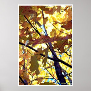 De herfst laat Herfst Trees Sunshine Poster