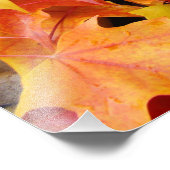 De herfst laat kleurrijke Prints voor fotografie Foto Afdruk (Hoek)