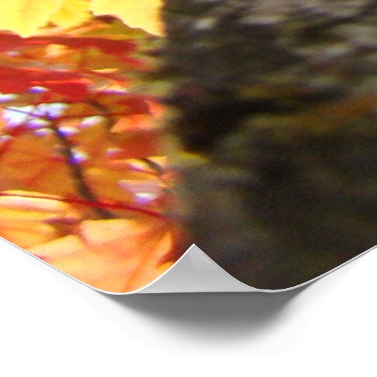 De herfst laat kunstwerken prints Kleurrijke Herfs (Hoek)