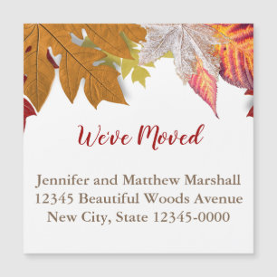 De herfst laat Magnetic Moving Announounge over de