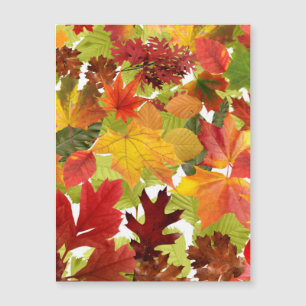 De herfst laat Magnetische Kaart over