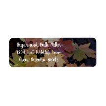 De herfst laat zich om