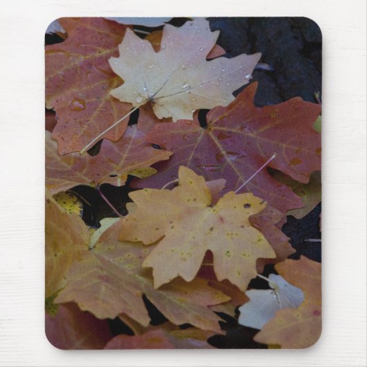 De herfst laat zich om muismat (Voorkant)