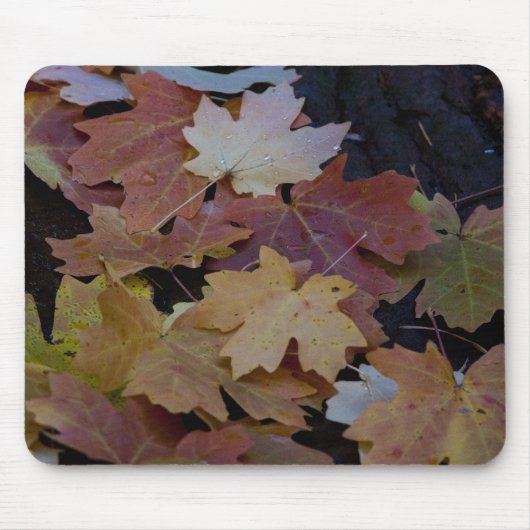 De herfst laat zich om muismat (Voorkant)