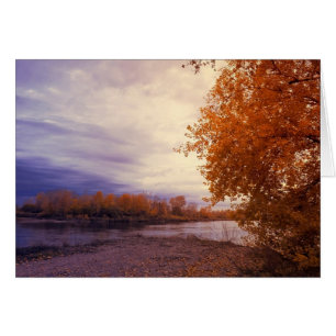 De herfst langs de Kaart van de riviernota