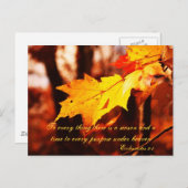 De herfst lekt in het Poconos-Briefkaart Briefkaart (Voorkant / Achterkant)