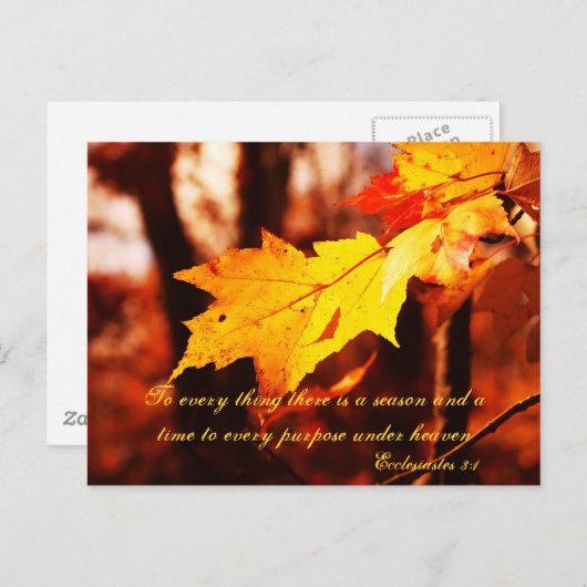 De herfst lekt in het Poconos-Briefkaart Briefkaart (Voorkant / Achterkant)