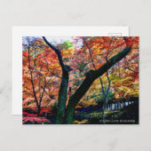 De herfst lekt: Kourannkei (Briefkaart) Briefkaart (Voorkant / Achterkant)