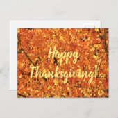 De herfst lekt op boom - foto. briefkaart (Voorkant / Achterkant)