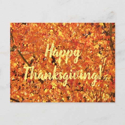 De herfst lekt op boom - foto. briefkaart (Voorkant)