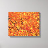 De herfst lekt op boom - foto. canvas afdruk (Voorkant)
