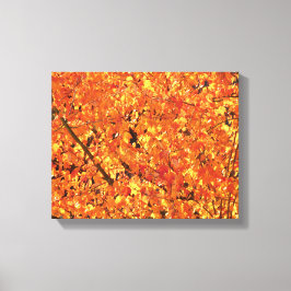 De herfst lekt op boom - foto. canvas afdruk