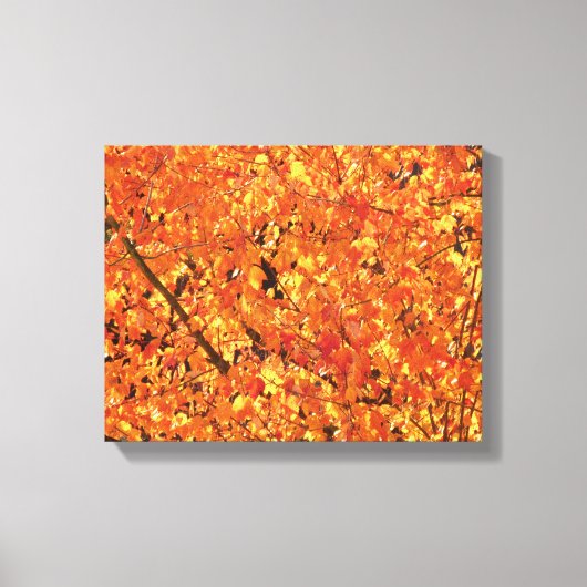 De herfst lekt op boom - foto. canvas afdruk (Voorkant)