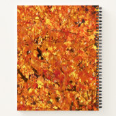 De herfst lekt op boom - foto. notitieboek (Achterkant)