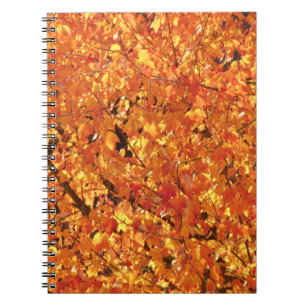 De herfst lekt op boom - foto. notitieboek