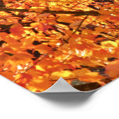 De herfst lekt op boom - foto. poster (Hoek)