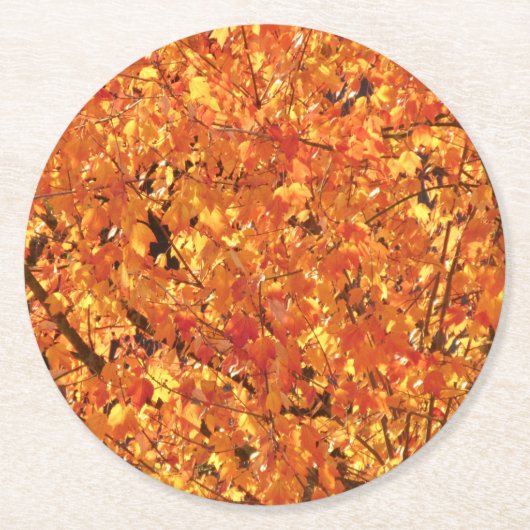 De herfst lekt op boom - foto. ronde kartonnen onderzetter (Voorkant)