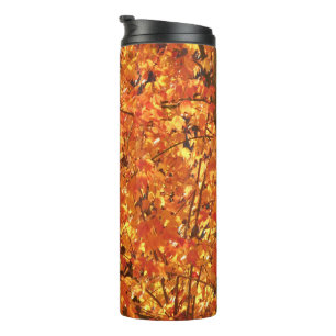 De herfst lekt op boom - foto. thermosbeker