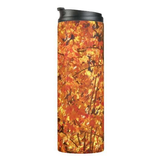 De herfst lekt op boom - foto. thermosbeker (Geroteerd rechts)