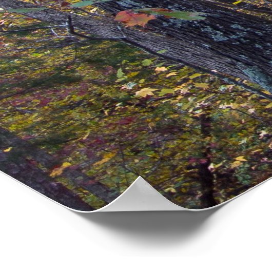 De herfst lekt op het Poster Canyon Trail (Hoek)