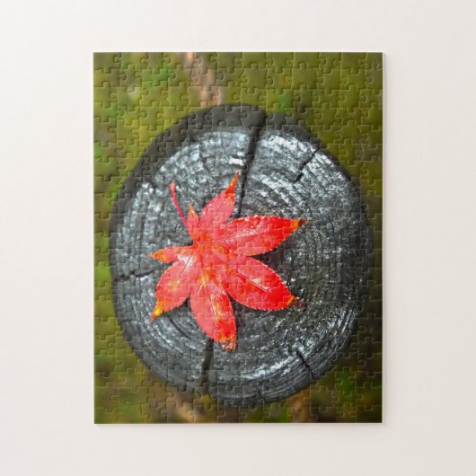 De herfst lekt Quebec. Legpuzzel (Verticaal)