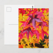 De herfst lekt rood en geel briefkaart (Voorkant / Achterkant)