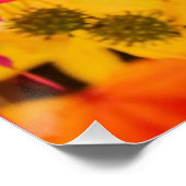 De herfst lekt rood en geel perfect poster (Hoek)