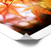 De herfst lekt uit een Japans hout Poster (Hoek)