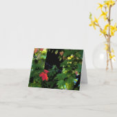 De Herfst Notecards van augustus Kaart (Gele Bloem)