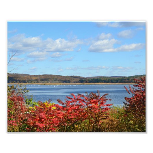 De herfst op de foto van de Connecticut River Afdruk (Voorkant)