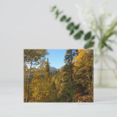 De herfst op het Trail-naar-droommeer Briefkaart (Staand voorkant)