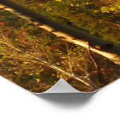 De herfst op het Trail-naar-droommeer Poster (Hoek)