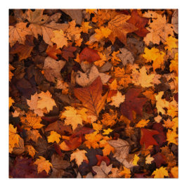 de herfst perfect poster