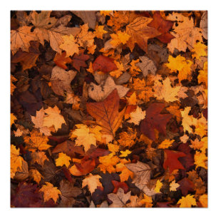 de herfst perfect poster