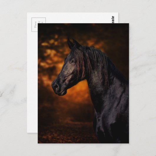 De herfst Stallion Briefkaart (Voorkant / Achterkant)