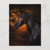 De herfst Stallion Briefkaart (Voorkant)