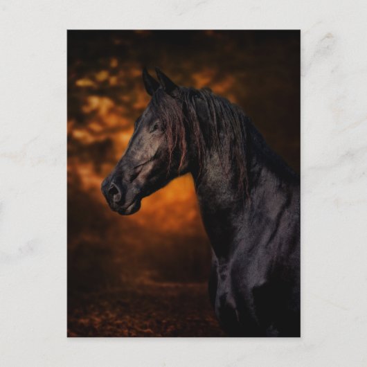 De herfst Stallion Briefkaart (Voorkant)
