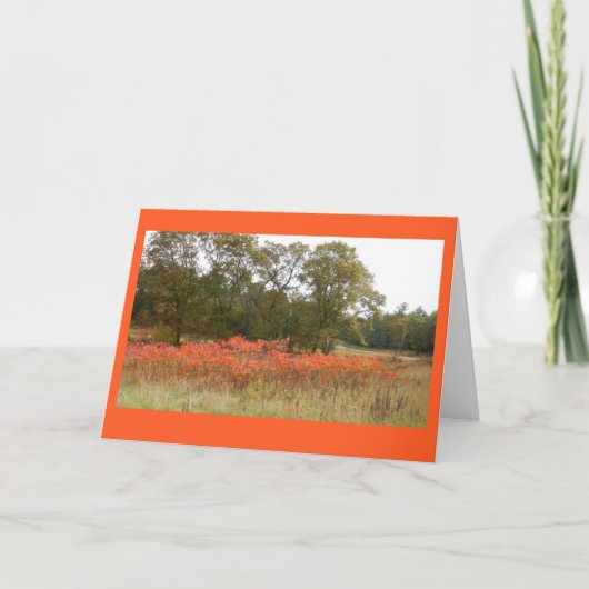 De herfst Sumac II Lege Notecard Kaart (Voorkant)