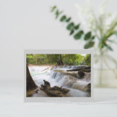 De herfst Thailand van het Water van Noi van Sao Briefkaart (Staand voorkant)