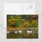 De herfst van de Duck Pond Briefkaart (Voorkant / Achterkant)