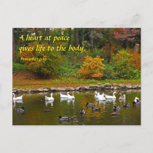 De herfst van de Duck Pond Briefkaart (Voorkant)