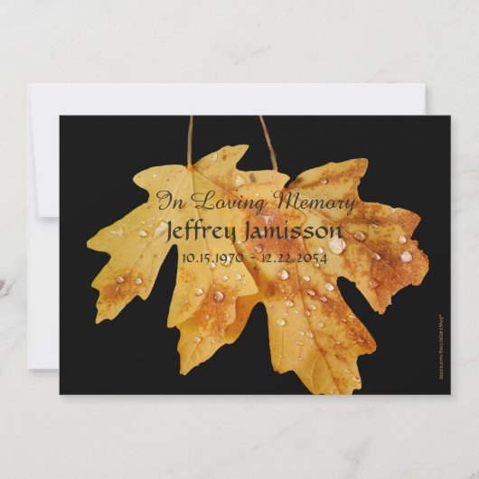 De herfst van de levensdienst, Raindrops Leaf Kaart (Voorkant)