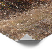 De herfst van de San Juans Poster (Hoek)