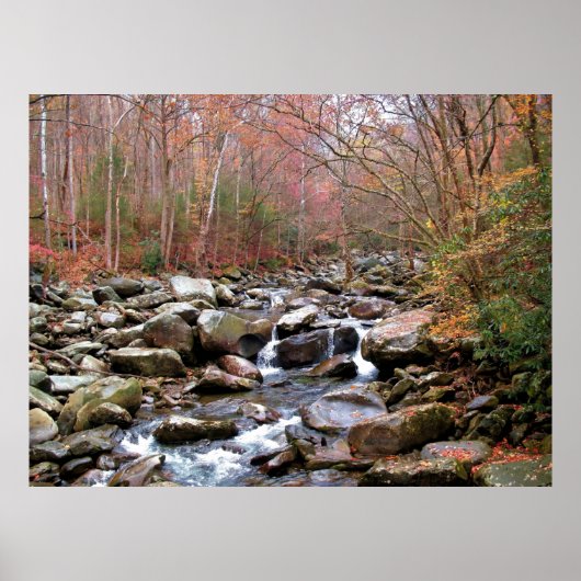 De herfst van de Smokies Poster (Voorkant)