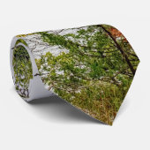 De herfst van de Truman-Stropdas Stropdas (Opgerold)