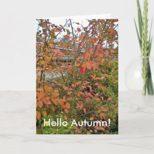 De Herfst van het hallo Kaart