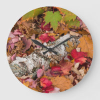 De herfst van Maple laat Hoesje op bosgrond vallen
